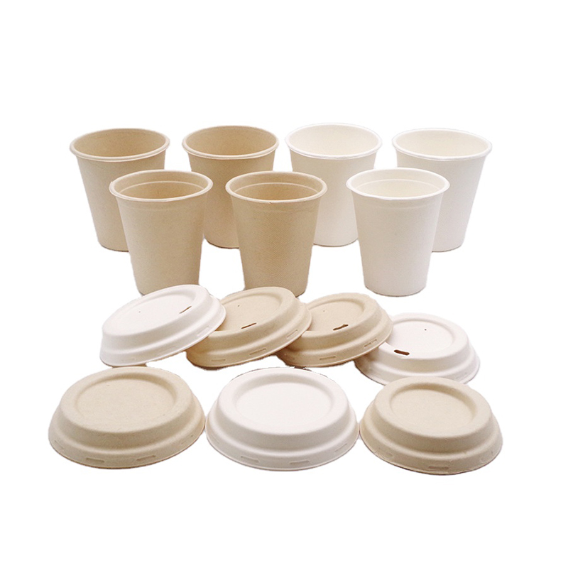 Bagasse degradable paper cup