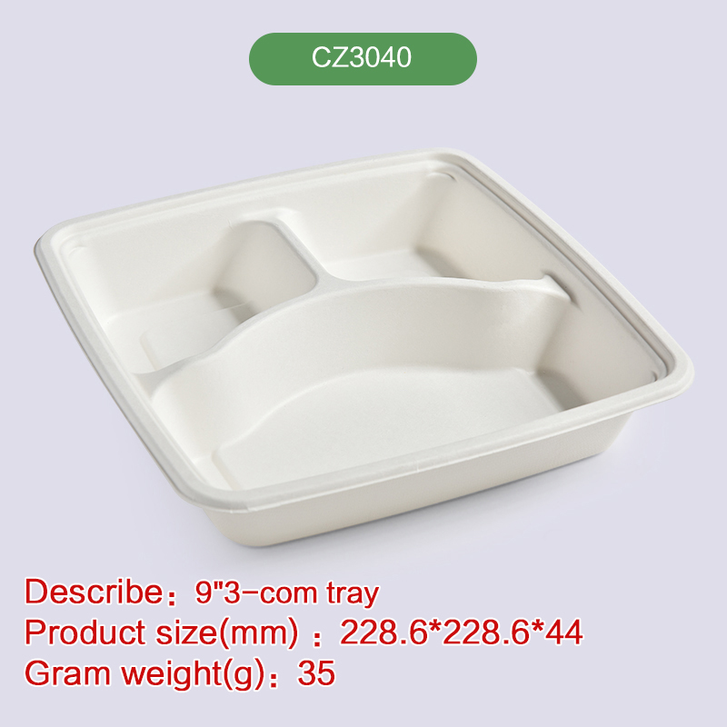 Biodegradable disposable compostable bagasse pulp-CZ3040