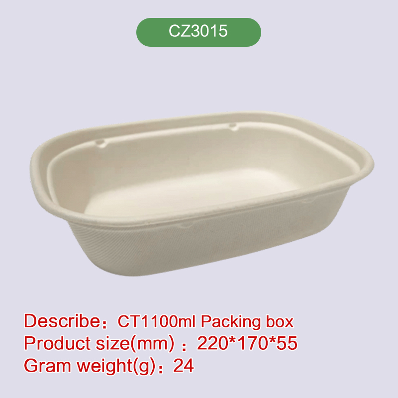 Biodegradable disposable compostable bagasse pulp-CZ3015