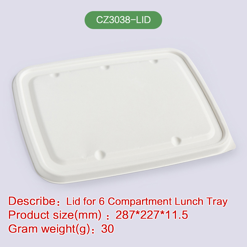 lunch box Biodegradable disposable compostable bagasse pulp-CZ3038-LID