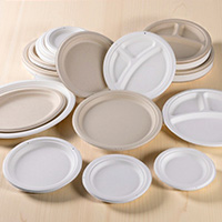 MOQ of Shandong Upmax packaging