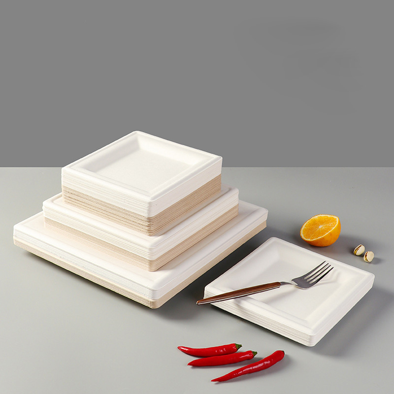 Square Disposable Pulp Plates & Dishes 