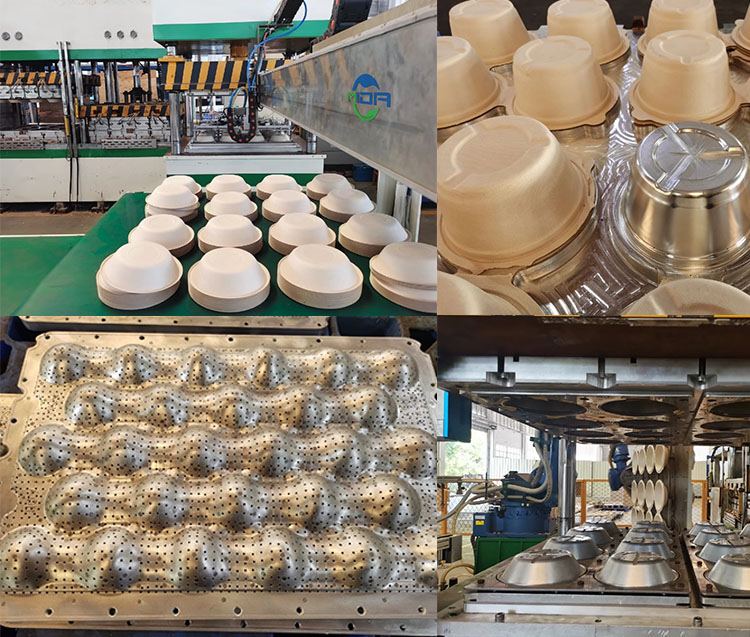 Fully automatic sugarcane bagasse pulp tableware—direct supply from the source, fast-moving stock fo